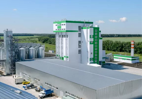 large shrimp feed processing plant