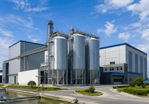 large-scale specialized feed processing plant