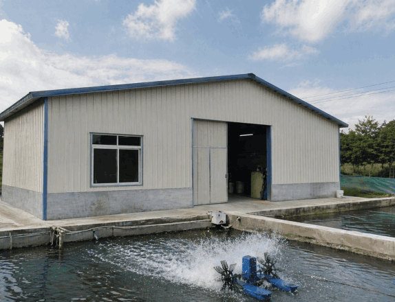 small aquaculture farm