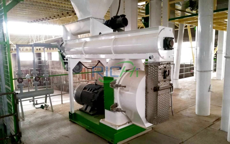 10 T/H Rabbit Feed Pellet Making Machine in Spain