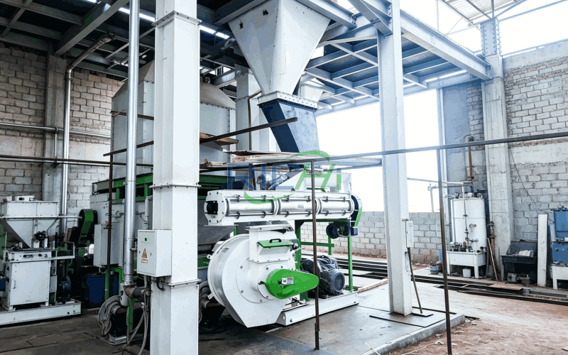 6-8 T/H Cattle Feed Production Line in Argentina