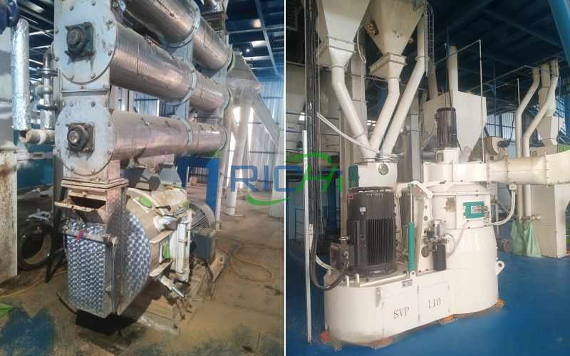 1.5 T/H Shrimp Feed Line in Nigeria