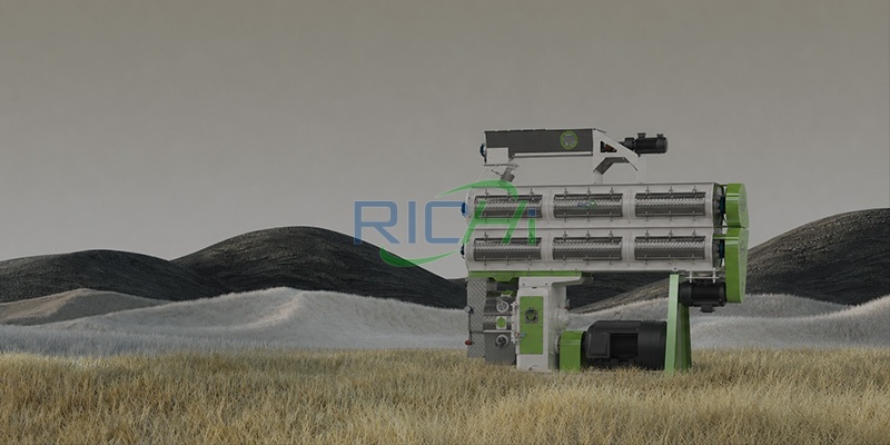 6 T/H Rabbit Feed Pellet Making Machine in Nigeria
