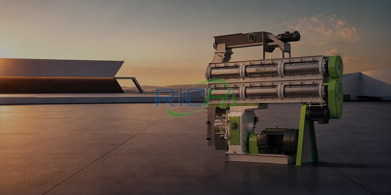 2 T/H Rabbit Feed Pellet Making Machine in Brazil