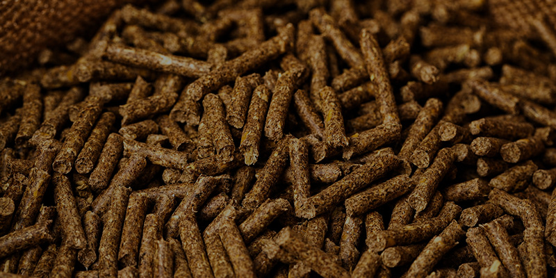 5-6 T/H Poultry Feed Pellet Making Machine in Oman