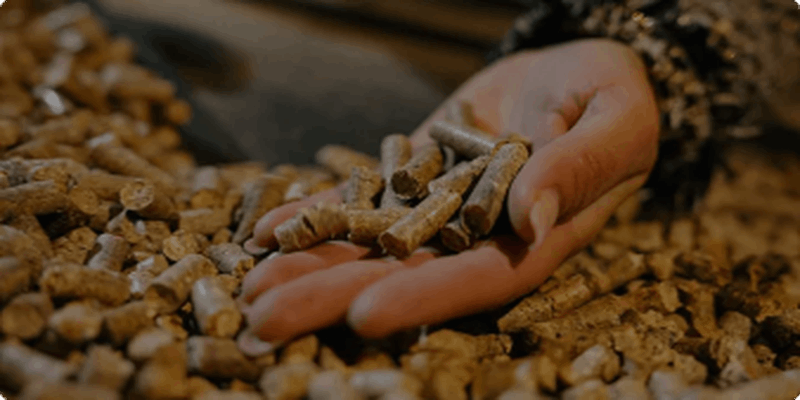 1-2 T/H Cattle Feed Pellet Making Machine in Uzbekistan