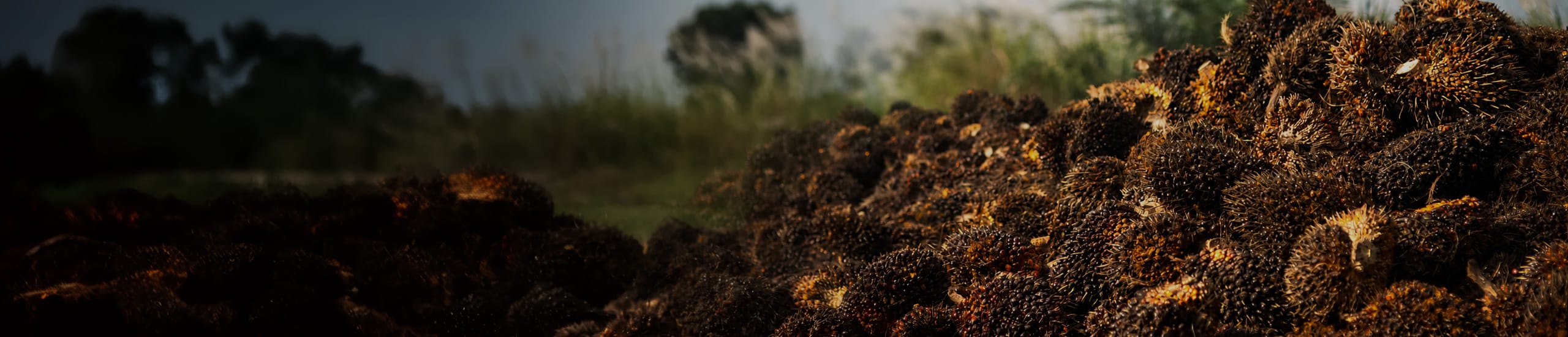 لافتة آلة تصنيع الحبيبات EFB
