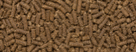 EFB Pellet Machine