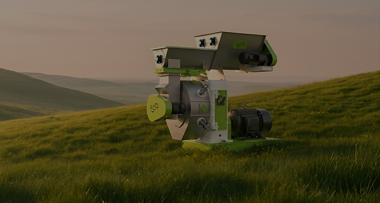 6 T/H Chicken Manure Pellet Machine in Romania