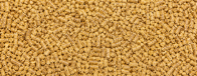 Poultry Feed Pellet