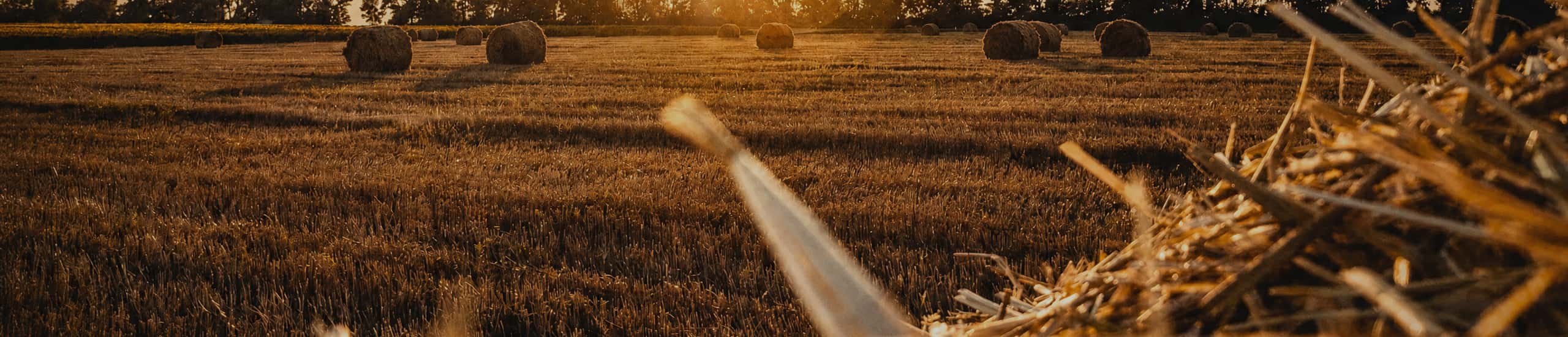 Straw Pellet Machine Banner