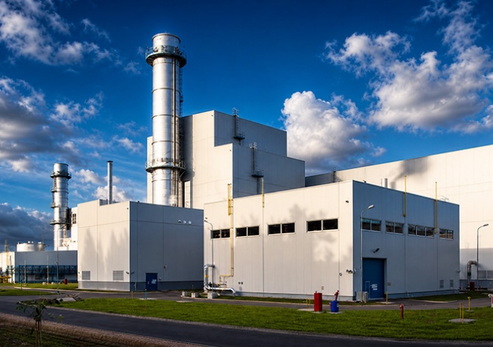 Cat Litter Pellet Production Line