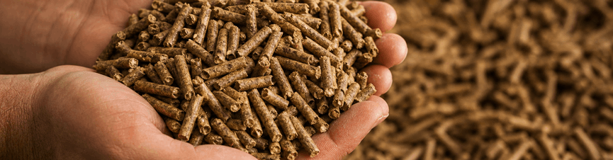 Cattle feed pellets