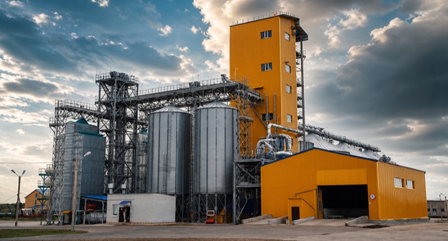 5-6 T/H Cattle Feed Production Line in Brazil