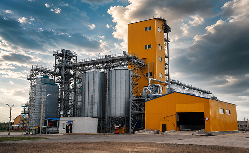 Cattle feed pellet production line