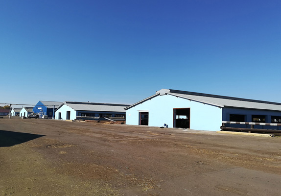 Large-scale pig feed production plant