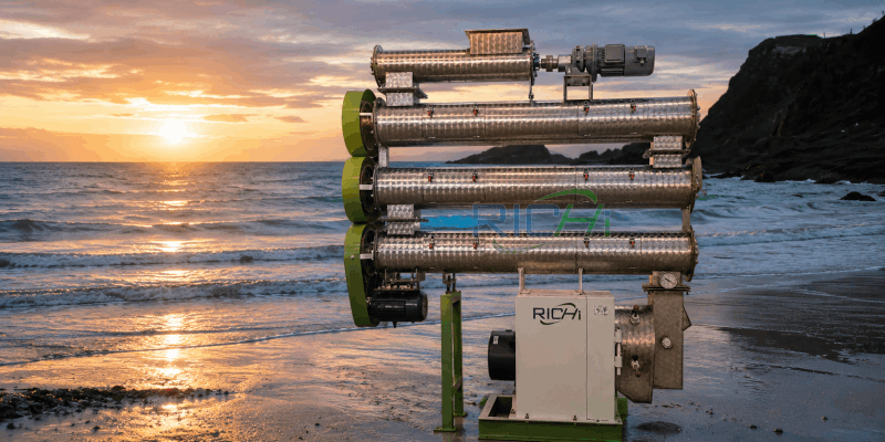 7 T/H Shrimp Feed Pellet Machine in Indonesia