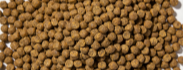 Shrimp Feed Pellet