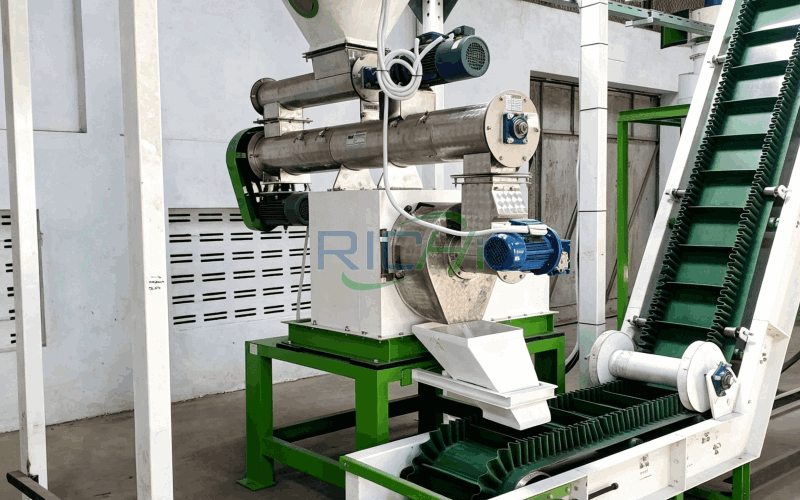 5–6 T/H Biomass Pellet Machine in Turkey