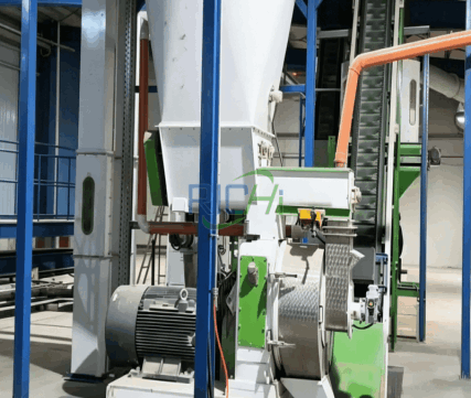 2 T/H Biomass Pellet Machine in Romania