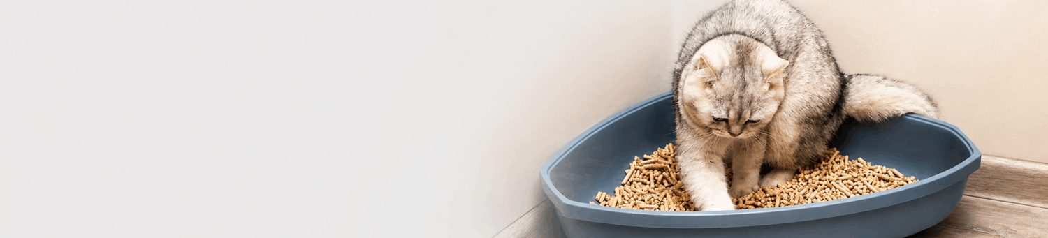 Cat litter production