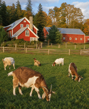 Ranch familial