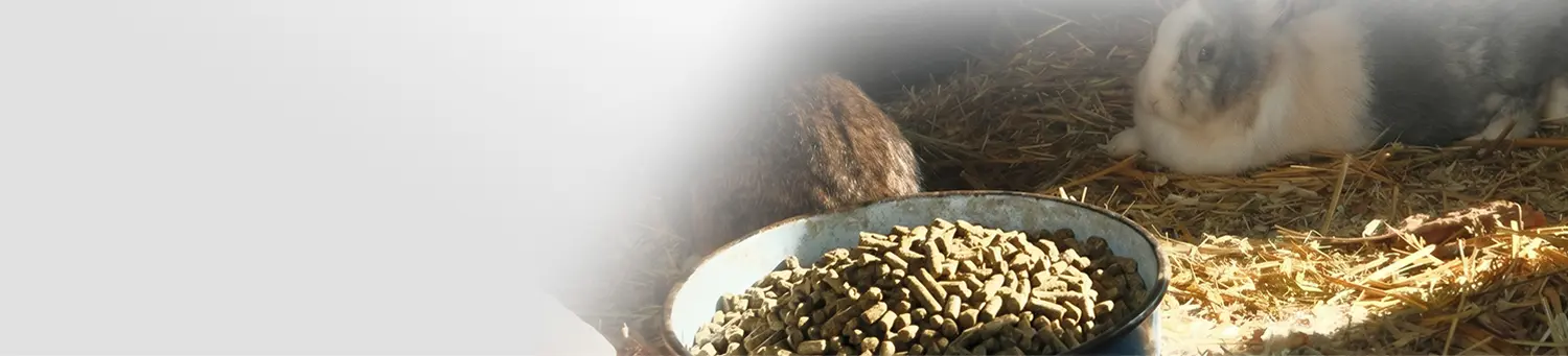 background on animal feed