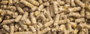 granulés alimentaires pour chèvres