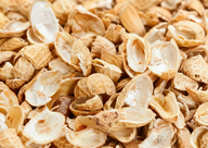 Peanut Shells