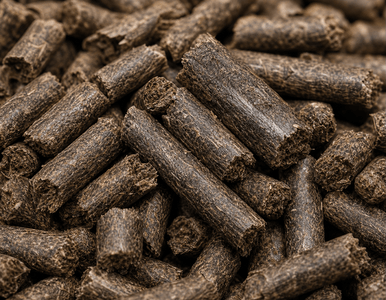 pellet from Malaysia EFB pellet plant