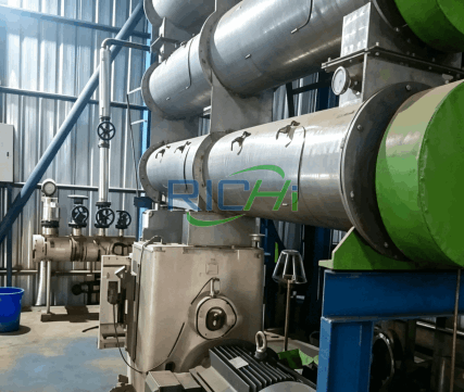 2 T/H Shrimp Feed Pellet Machine in Indonesia