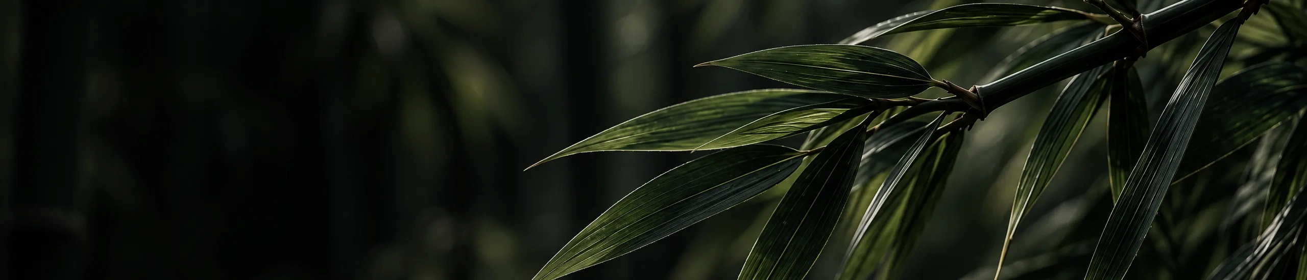 Bamboo Pellet Mill Banner