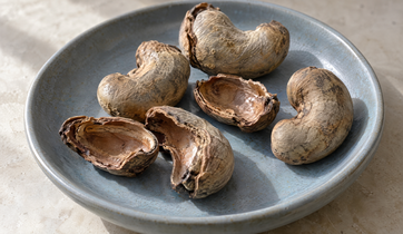 Cashew Shells