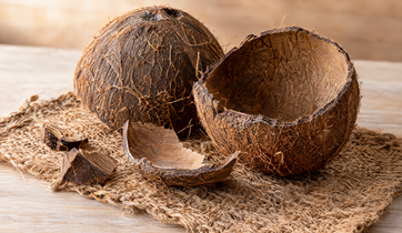 Coconut Shell