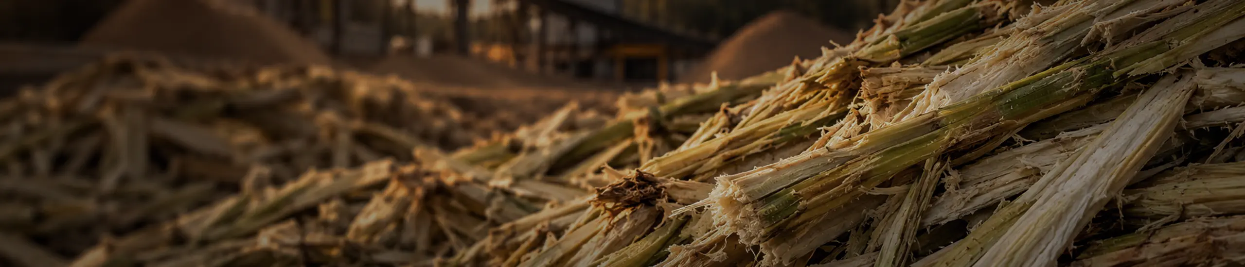 Bagasse Pellet Mill banner